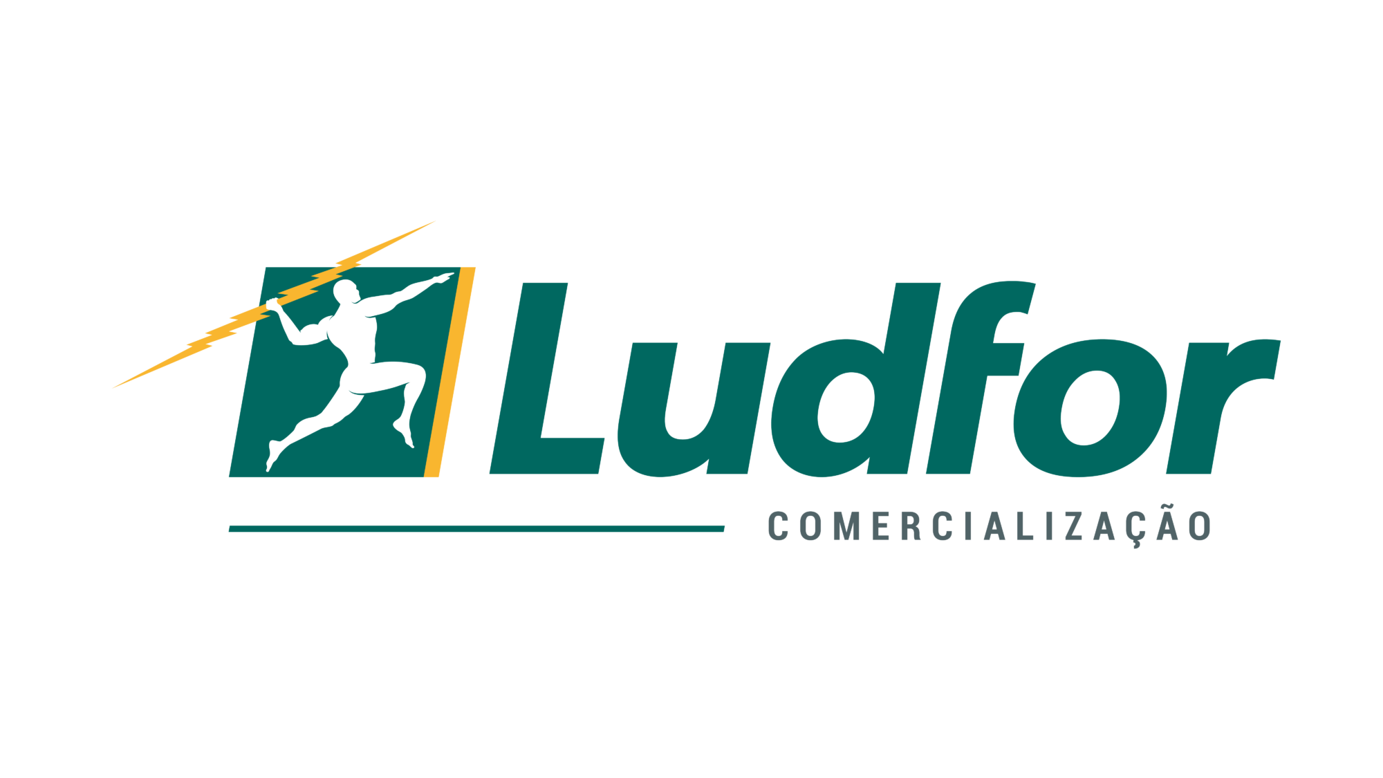 Logo Ludfor